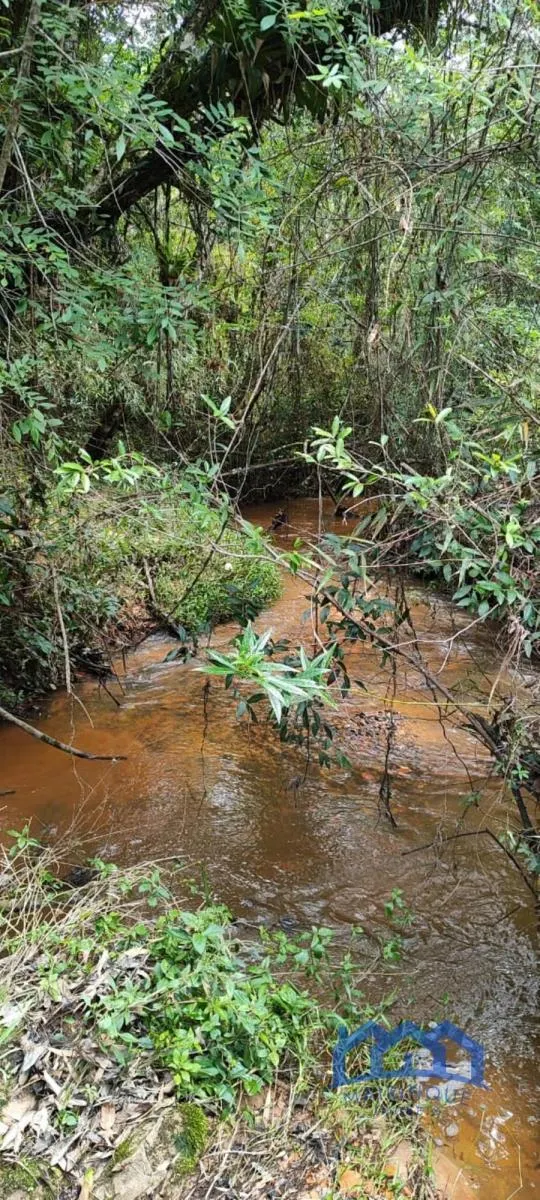 Fazenda à venda de 182 ha em São Miguel Arcanjo, SP, Brasil