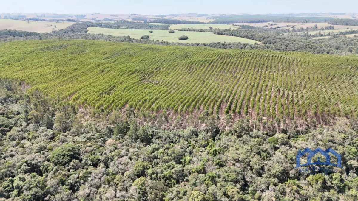 Fazenda à venda de 182 ha em São Miguel Arcanjo, SP, Brasil