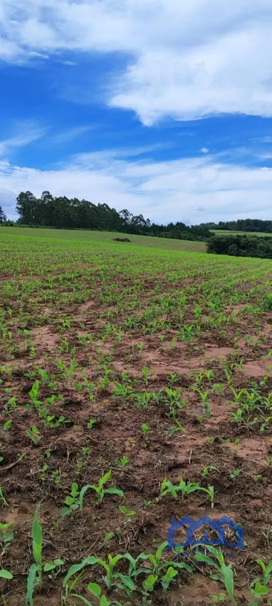 Fazenda à venda de 182 ha em São Miguel Arcanjo, SP, Brasil