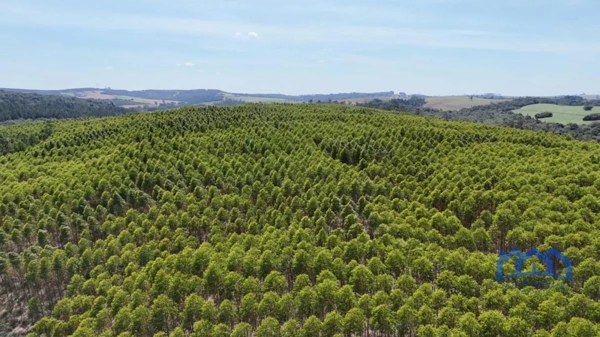 Fazenda à venda de 182 ha em São Miguel Arcanjo, SP, Brasil