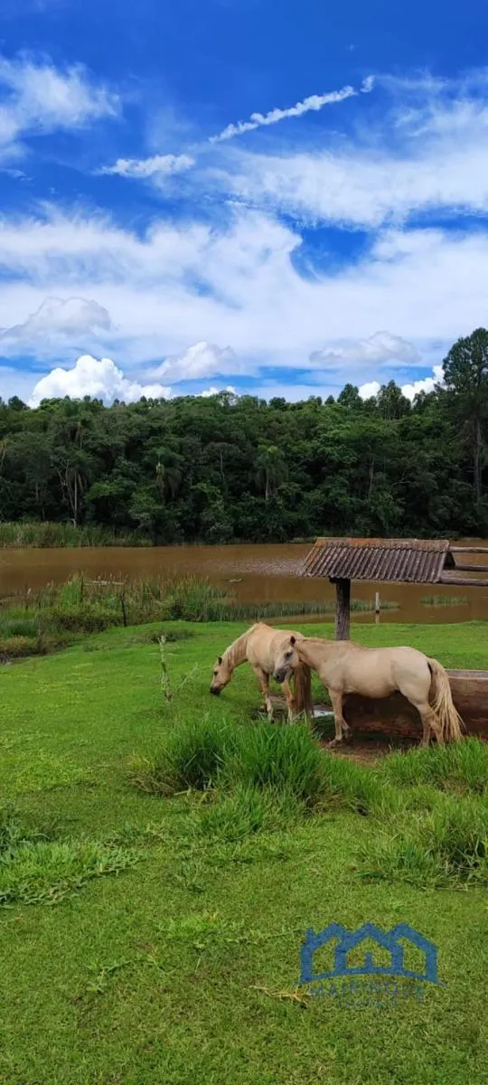 Fazenda à venda de 182 ha em São Miguel Arcanjo, SP, Brasil