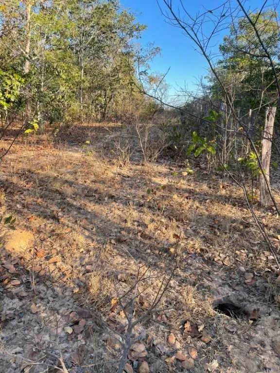 Fazenda à venda de 1.400 ha em Rondonópolis, MT, Brasil