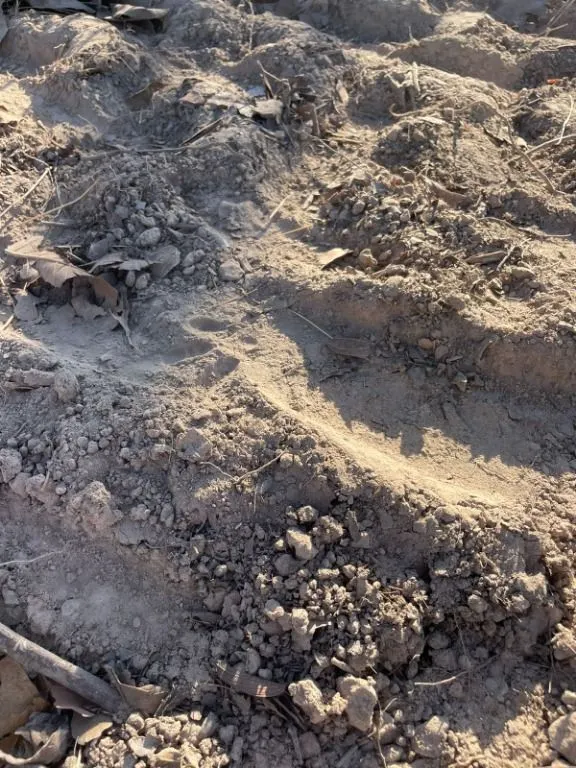 Fazenda à venda de 1.400 ha em Rondonópolis, MT, Brasil