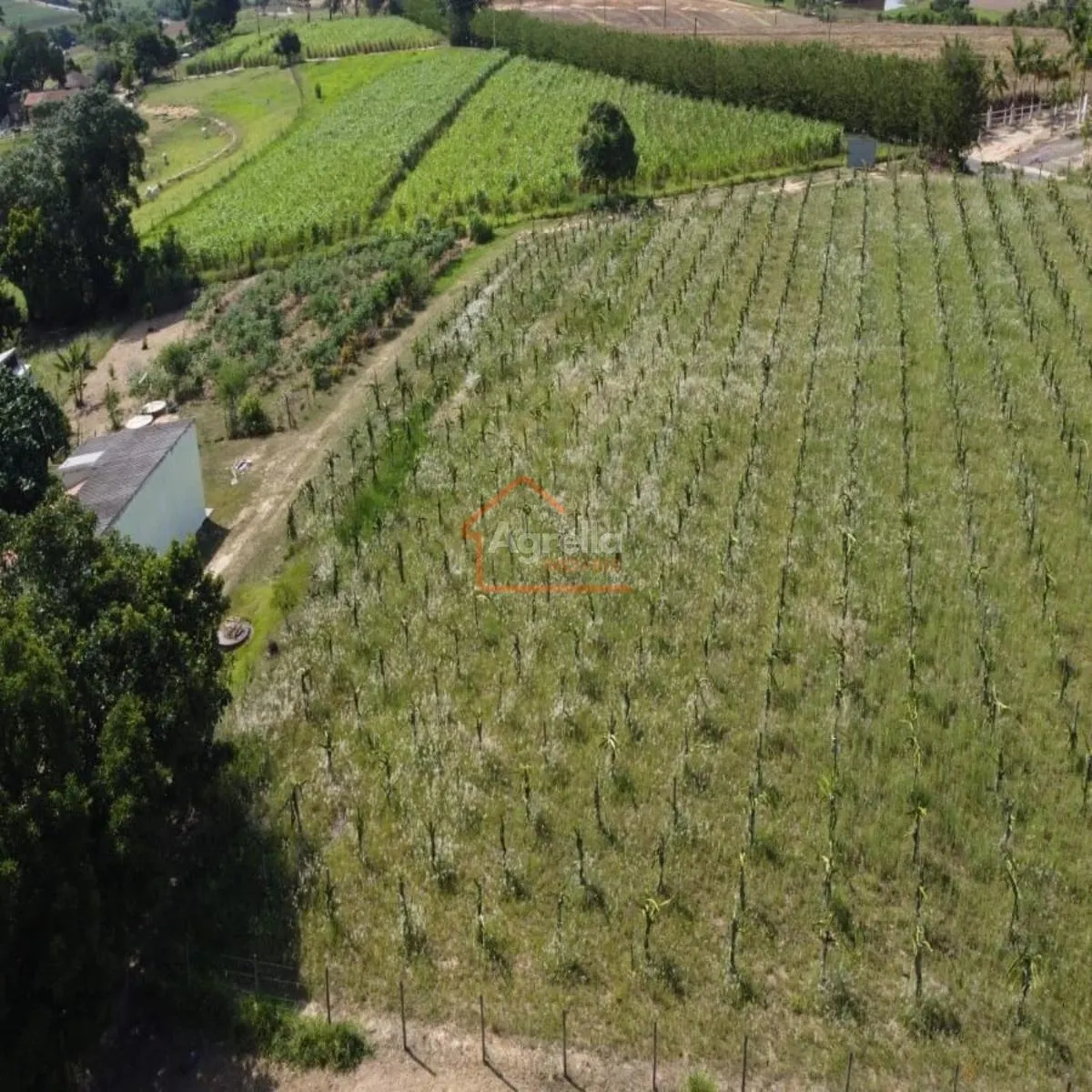 Chácara à venda de 165 m² em Artur Nogueira, SP, Brasil