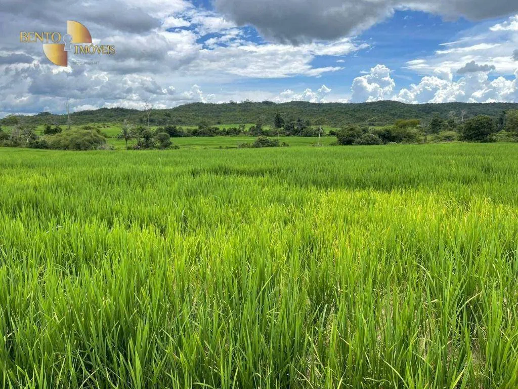 Farm for sale of 6,158 acres in Guarantã do Norte, MT, Brazil