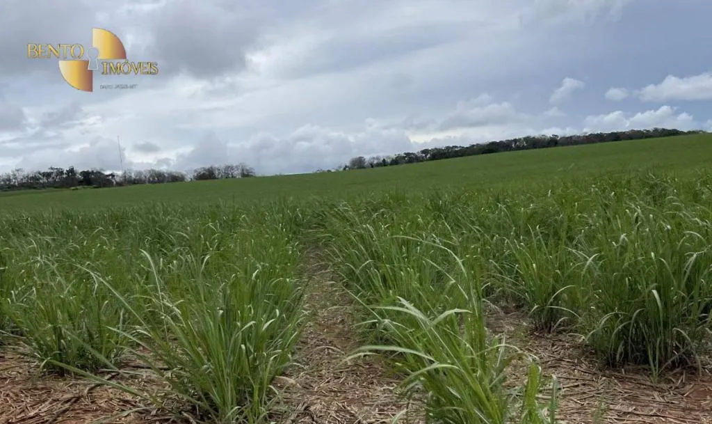 Fazenda à venda de 3.600 ha em Mineiros, GO, Brasil