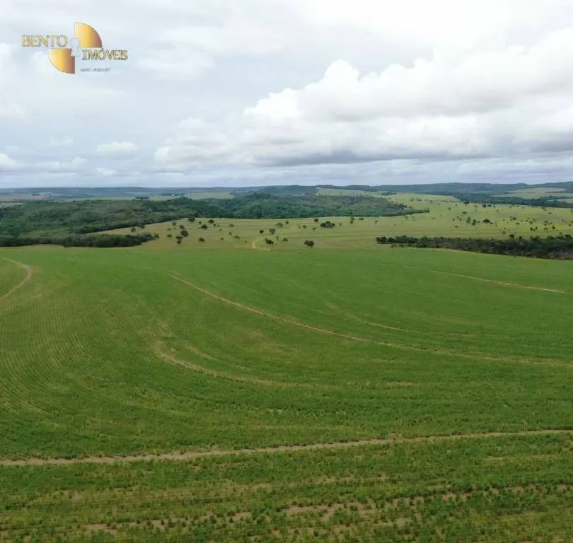 Fazenda à venda de 3.600 ha em Mineiros, GO, Brasil