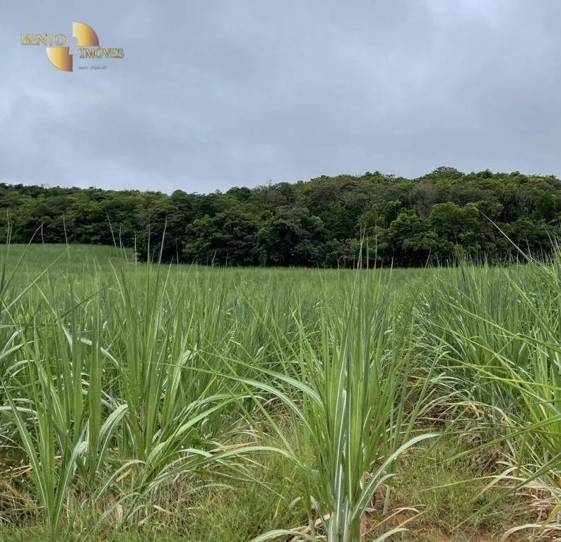 Fazenda à venda de 3.600 ha em Mineiros, GO, Brasil