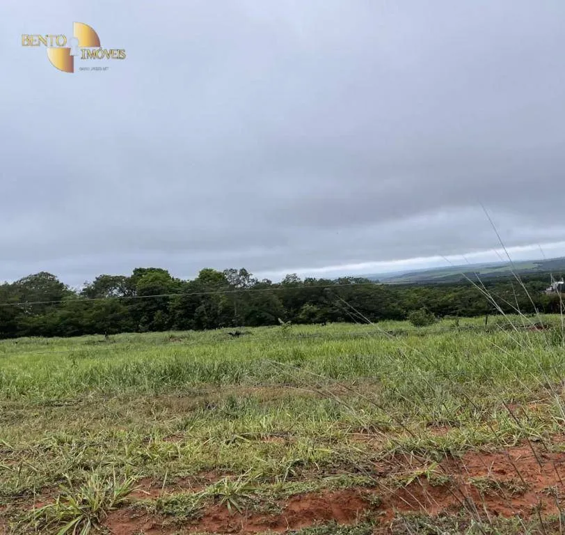Fazenda à venda de 3.600 ha em Mineiros, GO, Brasil