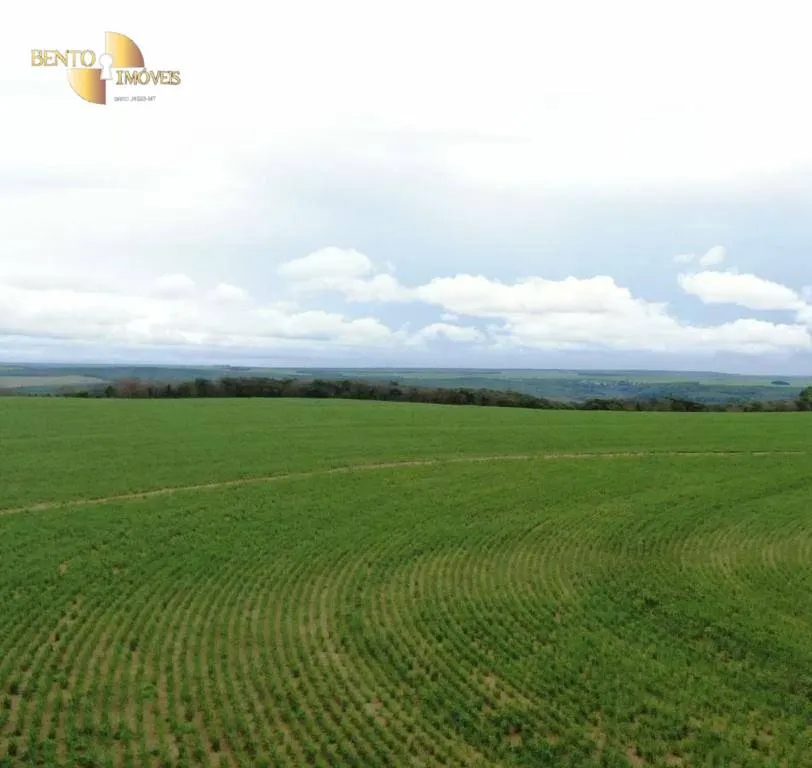 Fazenda à venda de 3.600 ha em Mineiros, GO, Brasil