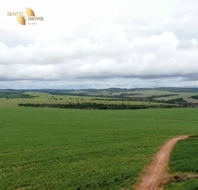 Fazenda à venda de 3.600 ha em Mineiros, GO, Brasil
