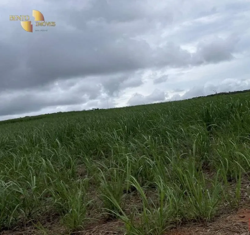 Fazenda à venda de 3.600 ha em Mineiros, GO, Brasil