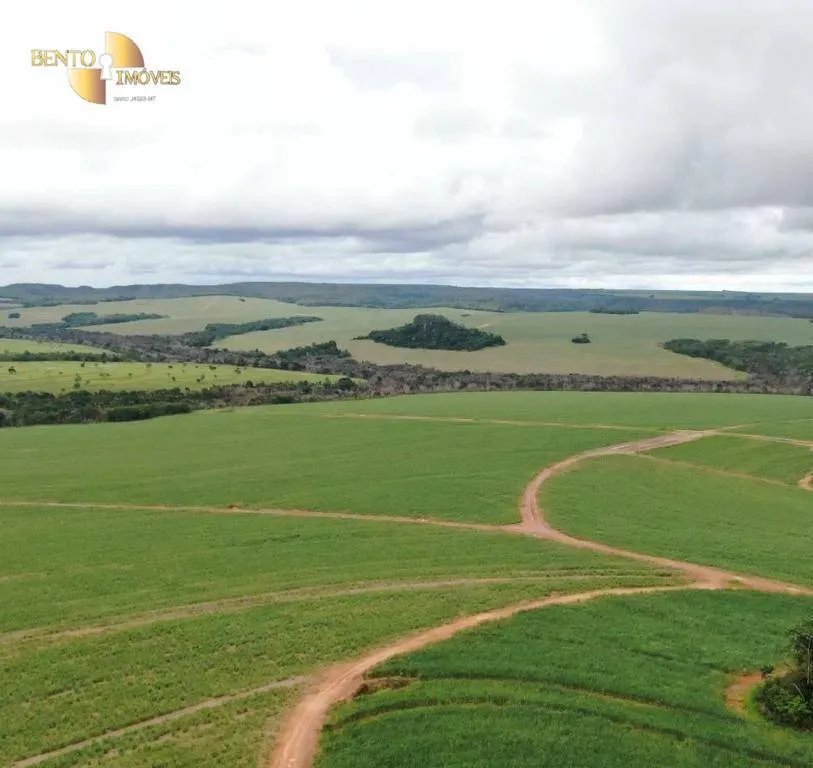 Fazenda à venda de 3.600 ha em Mineiros, GO, Brasil