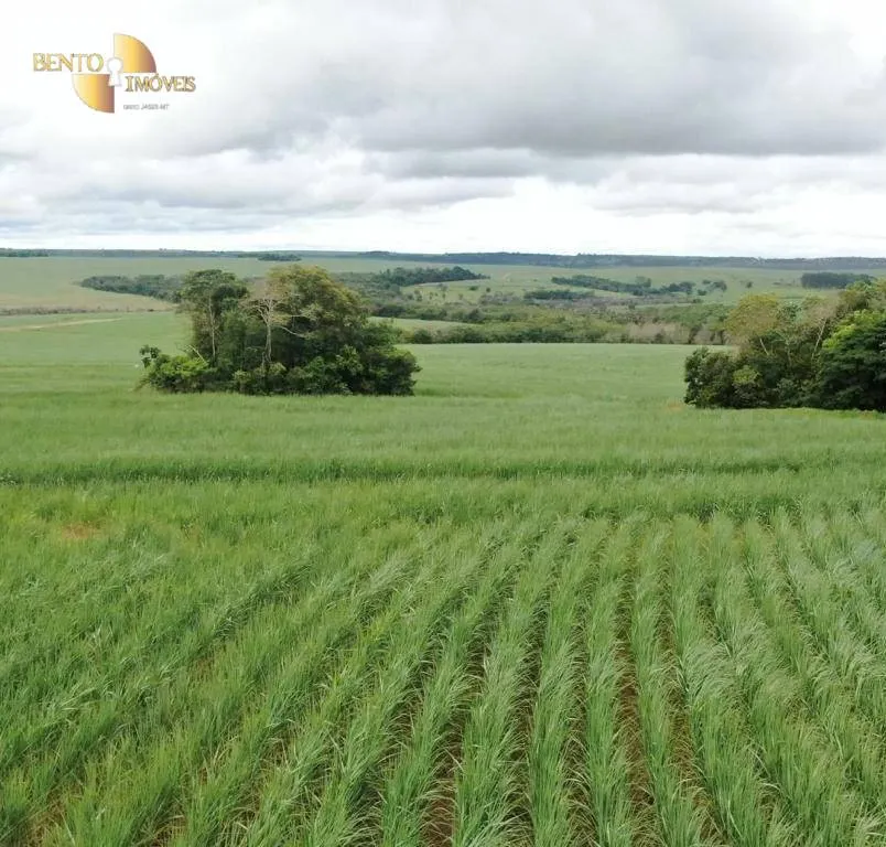 Fazenda à venda de 3.600 ha em Mineiros, GO, Brasil