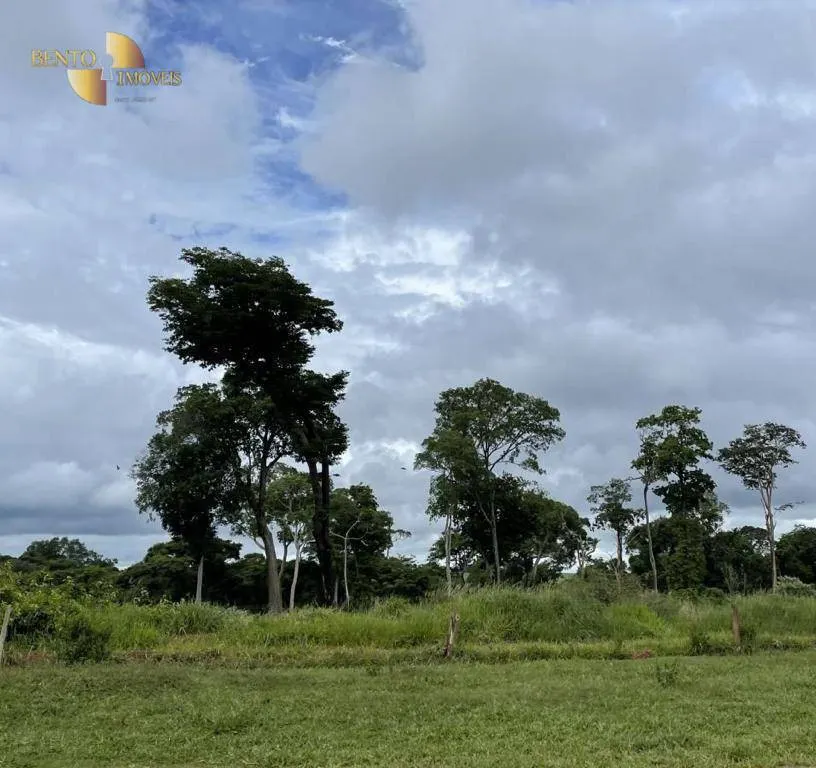 Fazenda à venda de 3.600 ha em Mineiros, GO, Brasil