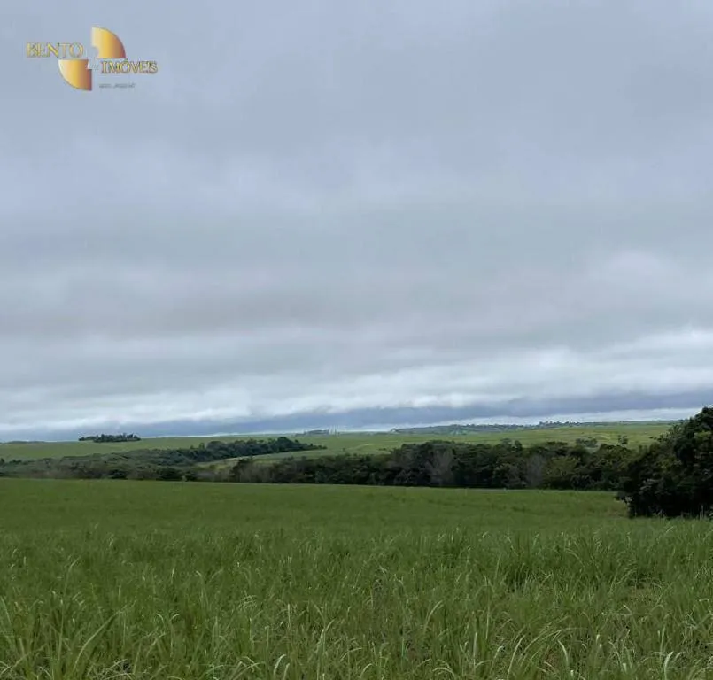 Fazenda à venda de 3.600 ha em Mineiros, GO, Brasil