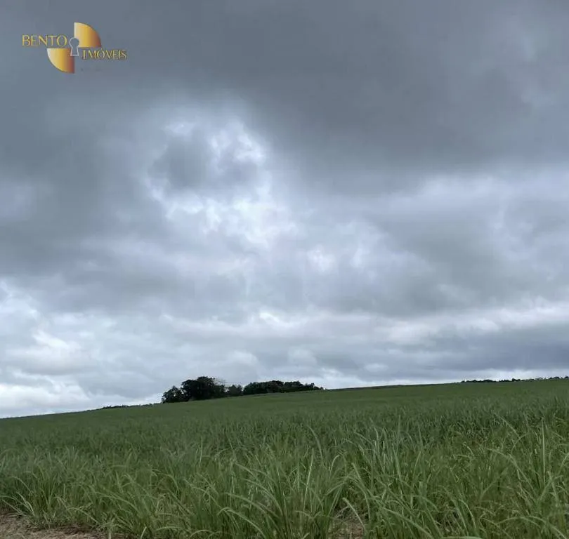 Fazenda à venda de 3.600 ha em Mineiros, GO, Brasil