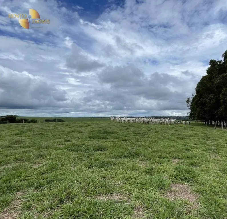 Fazenda à venda de 3.600 ha em Mineiros, GO, Brasil