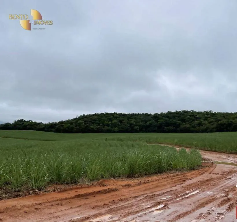 Fazenda à venda de 3.600 ha em Mineiros, GO, Brasil