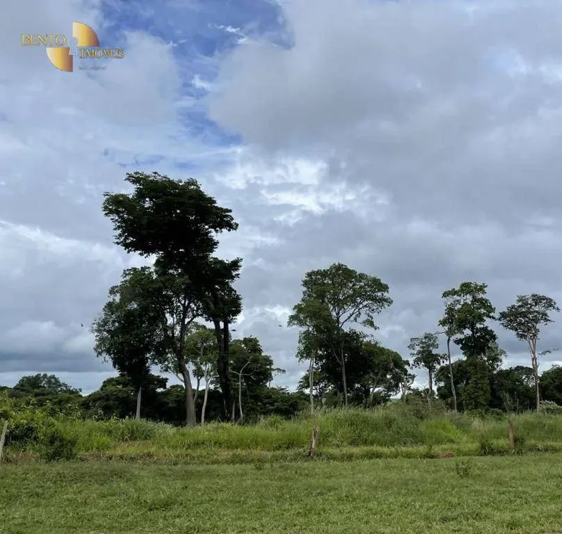 Fazenda à venda de 3.600 ha em Mineiros, GO, Brasil