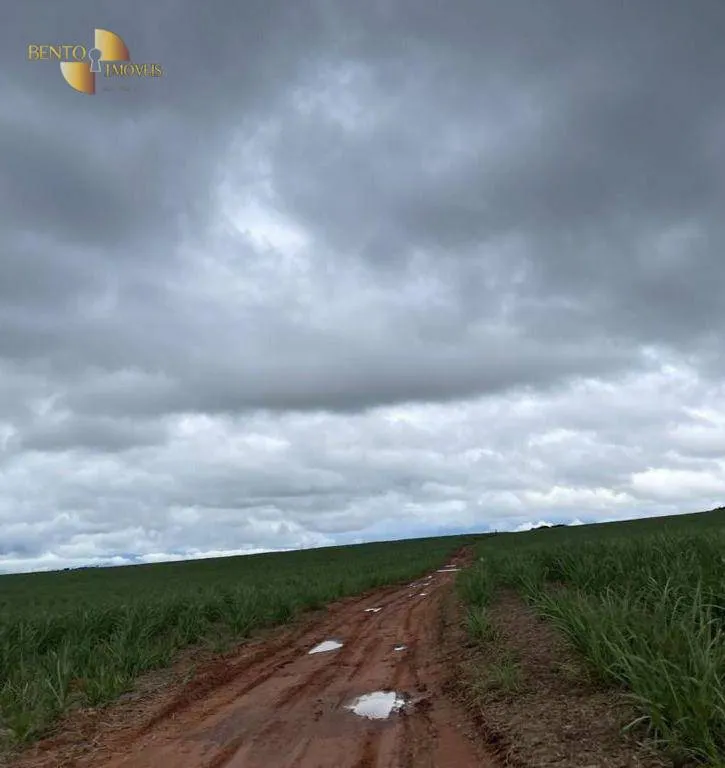 Fazenda à venda de 3.600 ha em Mineiros, GO, Brasil