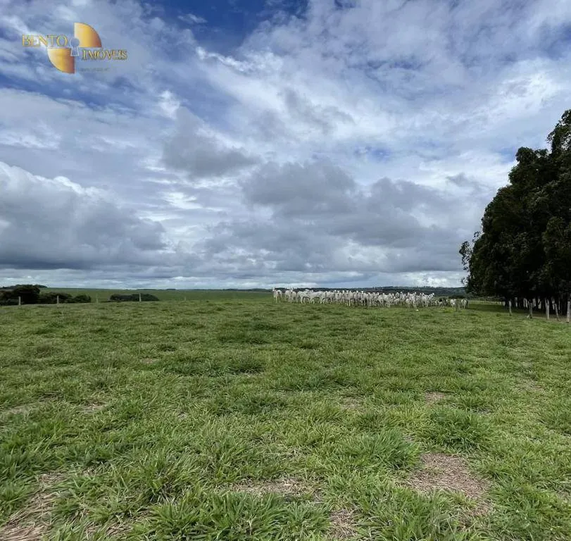 Fazenda à venda de 3.600 ha em Mineiros, GO, Brasil