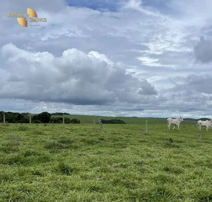 Fazenda à venda de 3.600 ha em Mineiros, GO, Brasil
