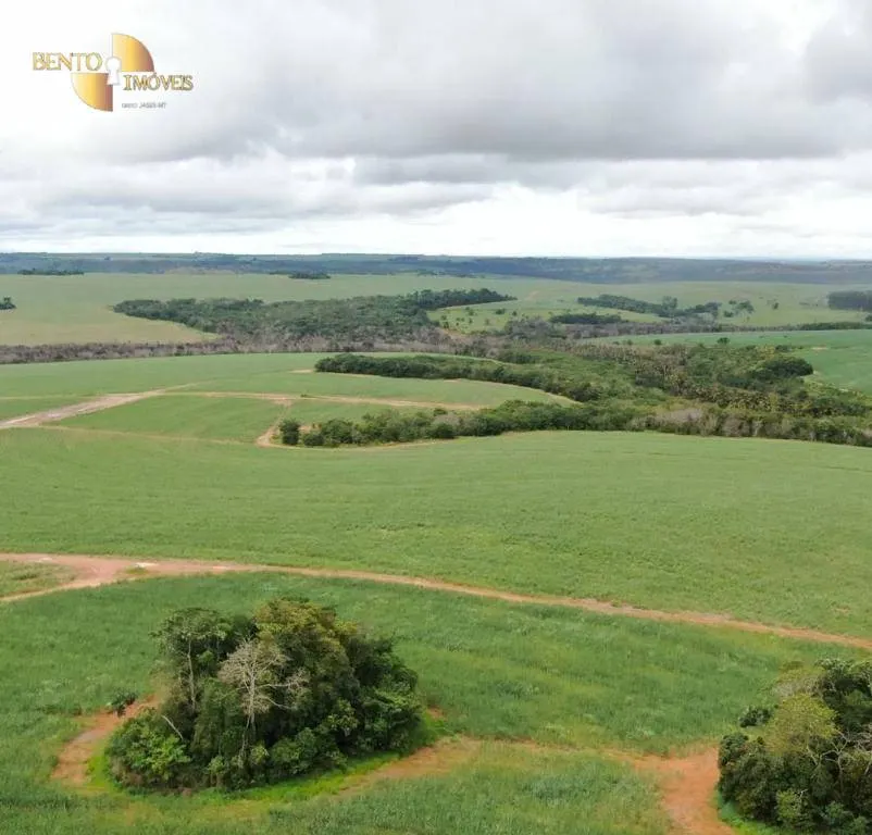 Fazenda à venda de 3.600 ha em Mineiros, GO, Brasil