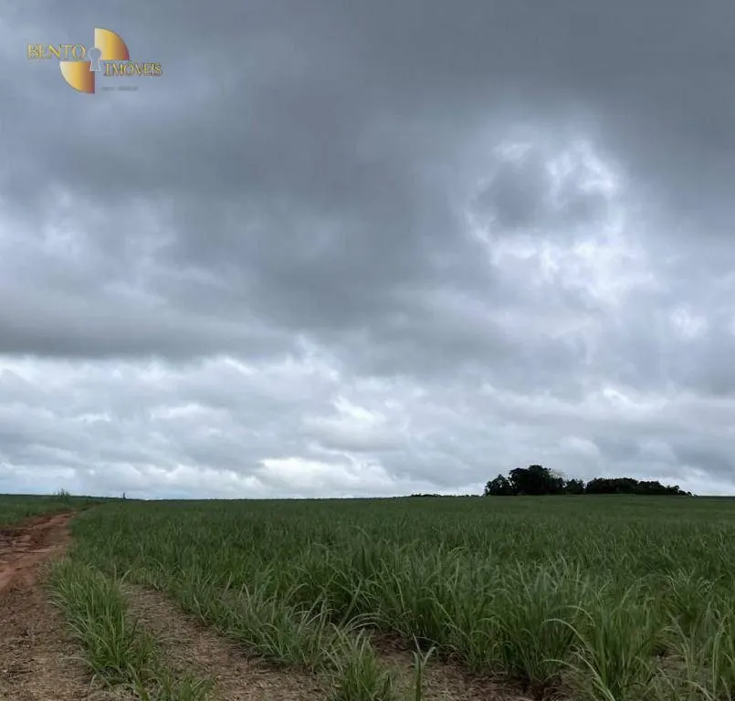 Fazenda à venda de 3.600 ha em Mineiros, GO, Brasil