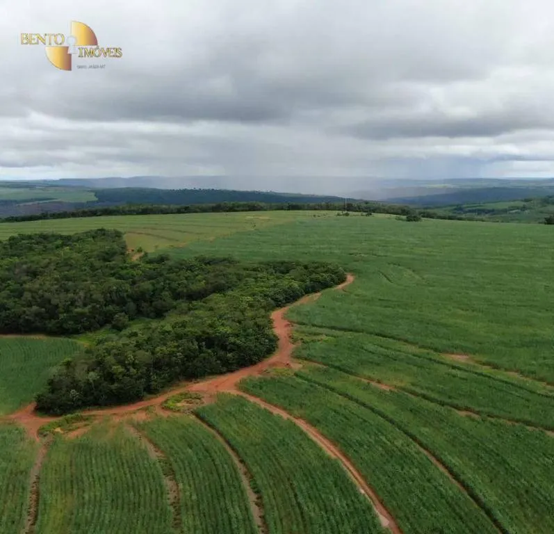 Fazenda à venda de 3.600 ha em Mineiros, GO, Brasil