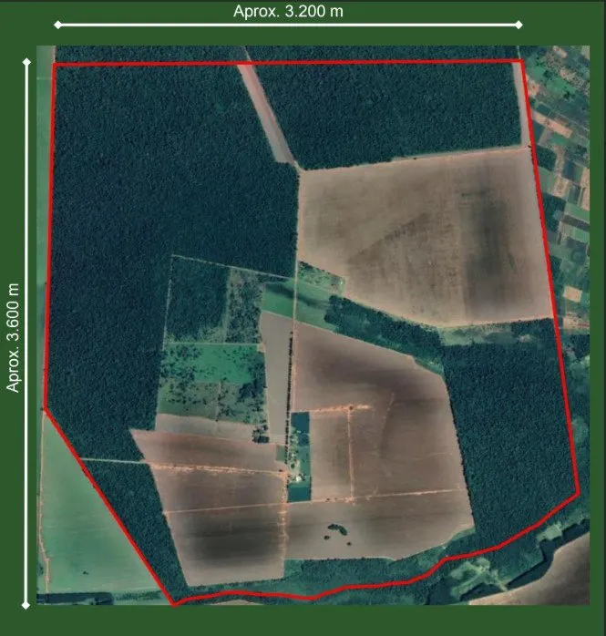 Comercial à venda de 1.200 ha em San Pedro de Ycuamandiyú, Paraguai