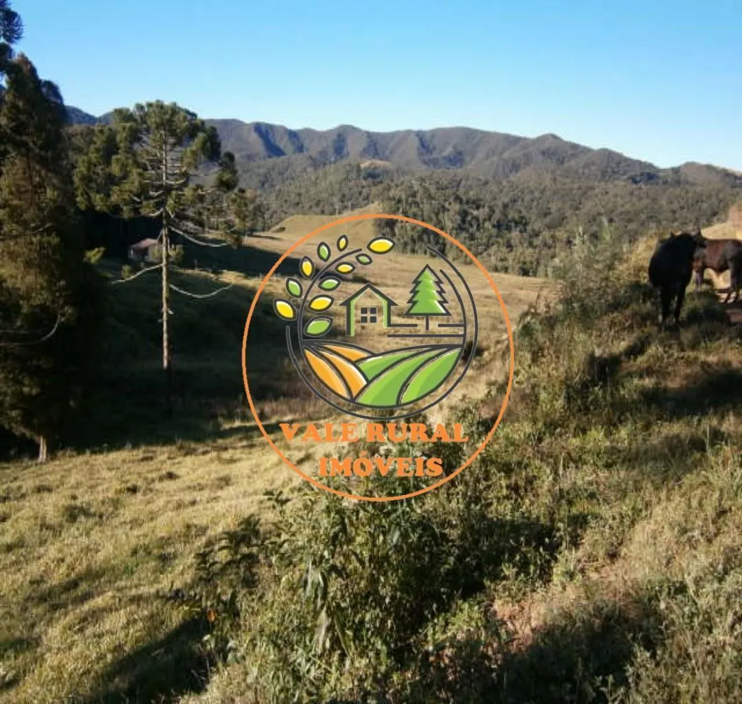 Fazenda à venda de 295 ha em Cunha, SP, Brasil
