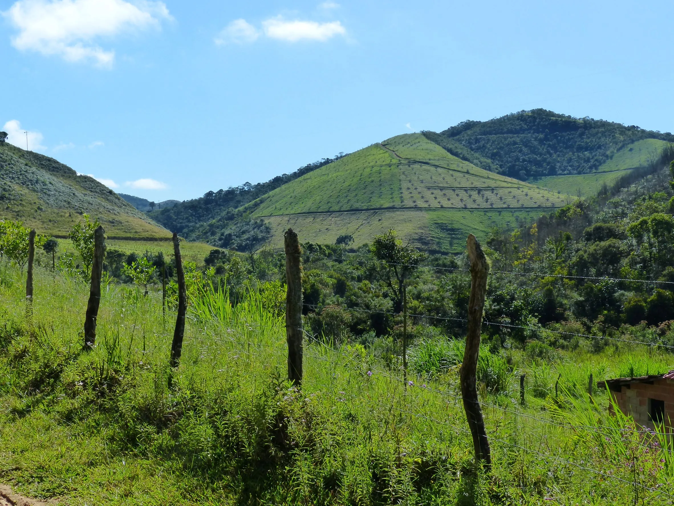 Small farm for sale of 192 acres in Passa-Vinte, MG, Brazil