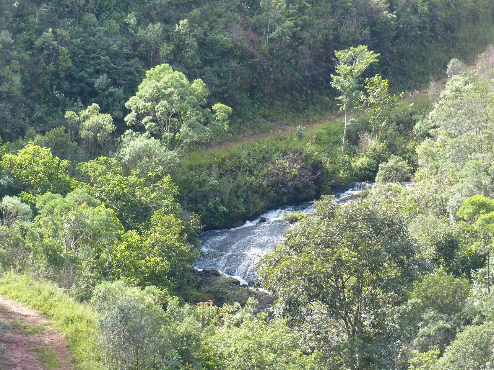 Small farm for sale of 192 acres in Passa-Vinte, MG, Brazil