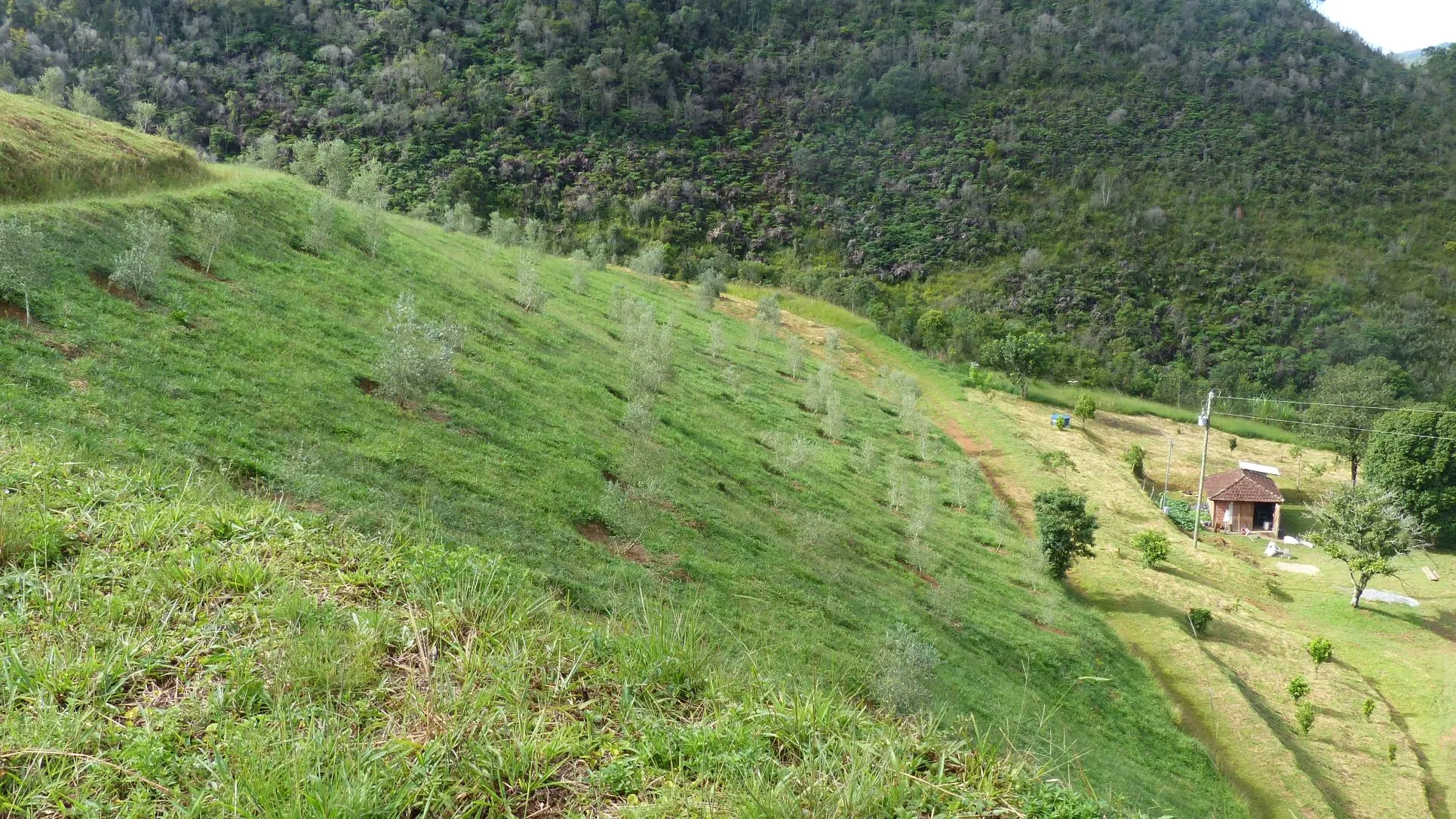 Small farm for sale of 192 acres in Passa-Vinte, MG, Brazil