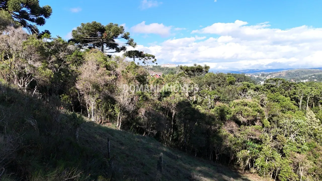 Plot for sale of 1,245 m² in Campos do Jordão, SP, Brazil
