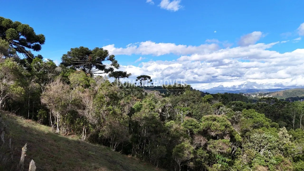 Plot for sale of 1,245 m² in Campos do Jordão, SP, Brazil