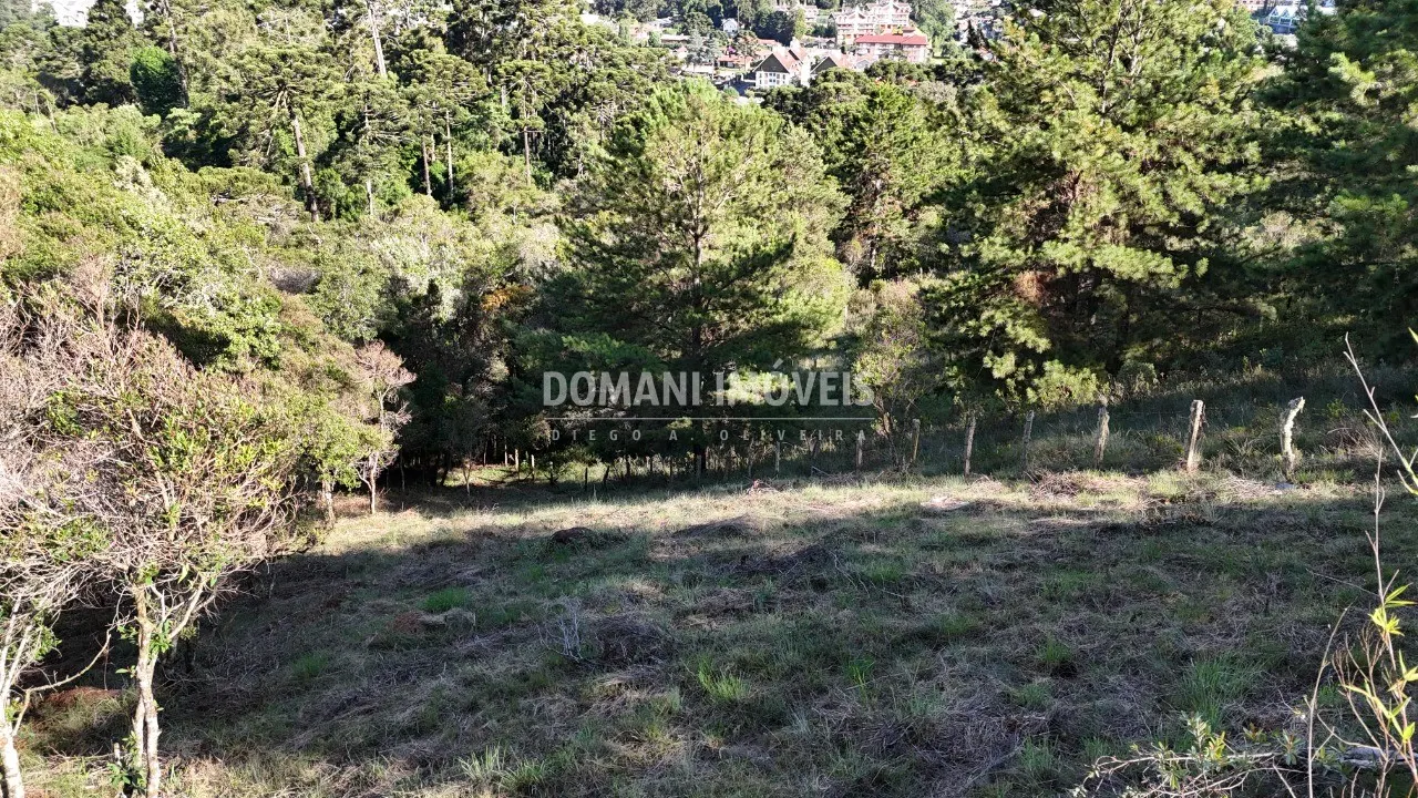 Plot for sale of 1,245 m² in Campos do Jordão, SP, Brazil