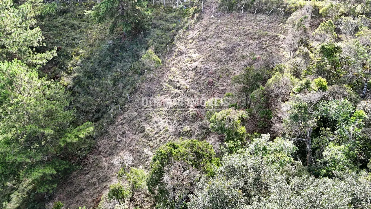 Plot for sale of 1,245 m² in Campos do Jordão, SP, Brazil