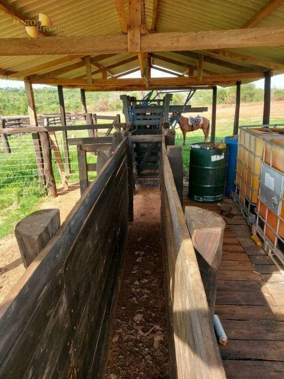 Fazenda à venda de 900 ha em Primavera do Leste, MT, Brasil