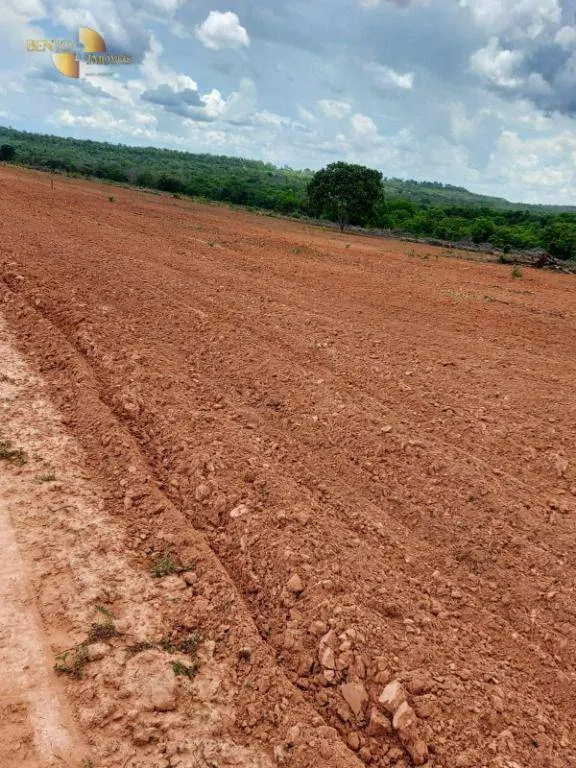 Fazenda à venda de 900 ha em Primavera do Leste, MT, Brasil