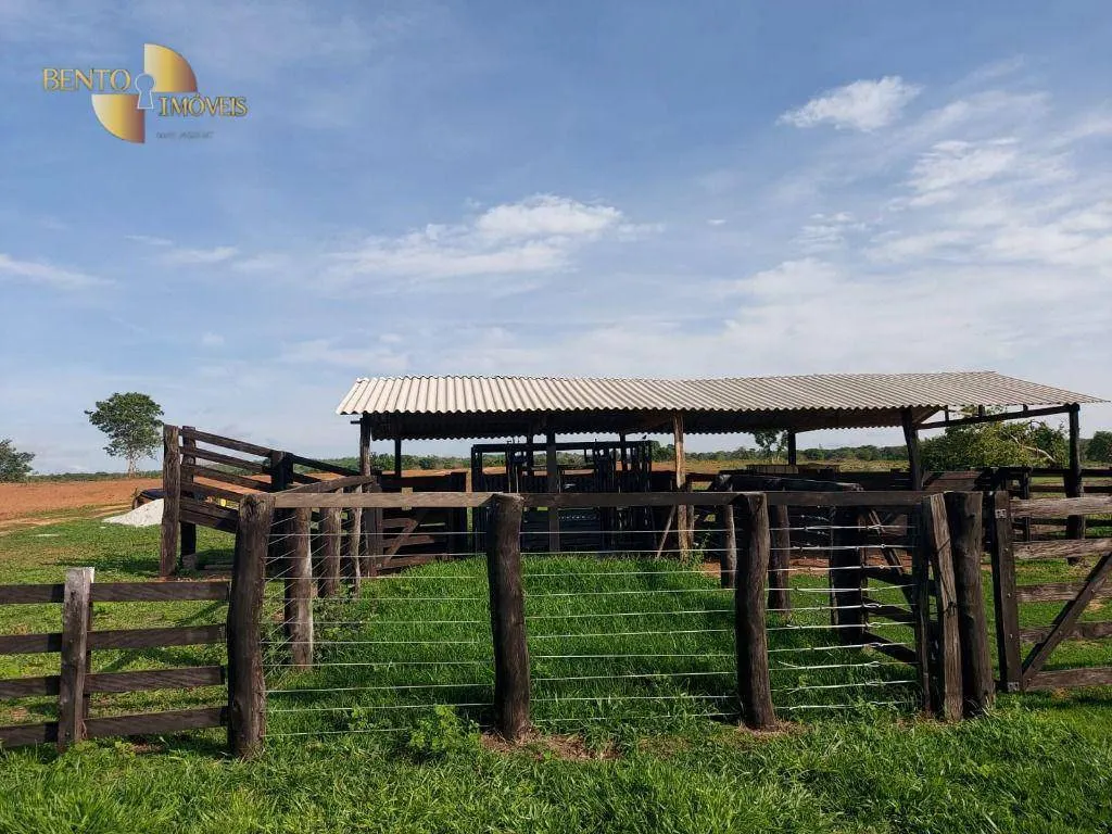 Fazenda à venda de 900 ha em Primavera do Leste, MT, Brasil