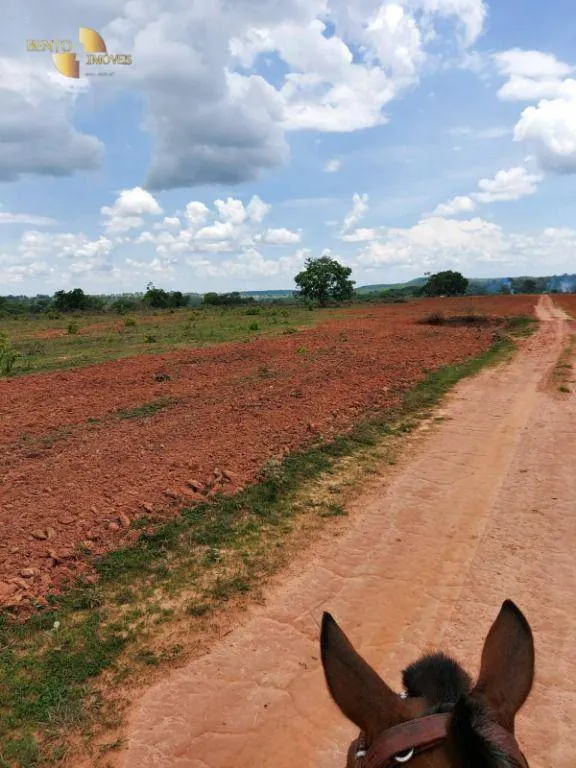 Fazenda à venda de 900 ha em Primavera do Leste, MT, Brasil