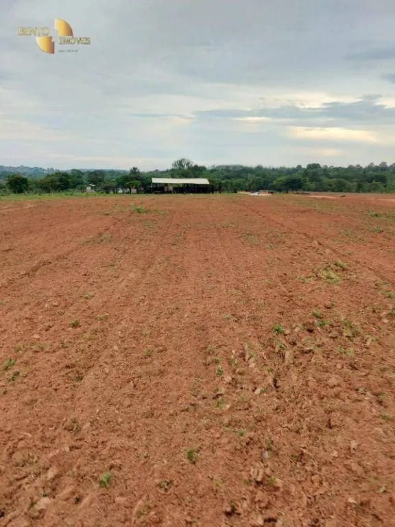 Fazenda à venda de 900 ha em Primavera do Leste, MT, Brasil