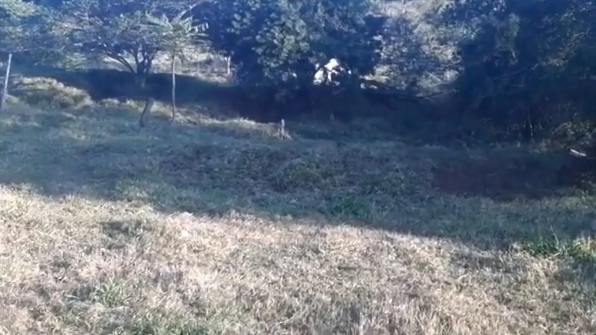 Sítio à venda de 9 ha em Caraá, RS, Brasil