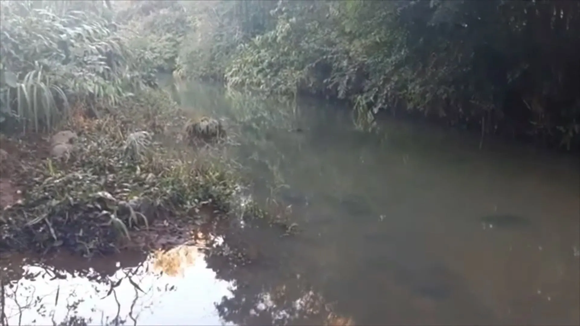 Sítio à venda de 9 ha em Caraá, RS, Brasil