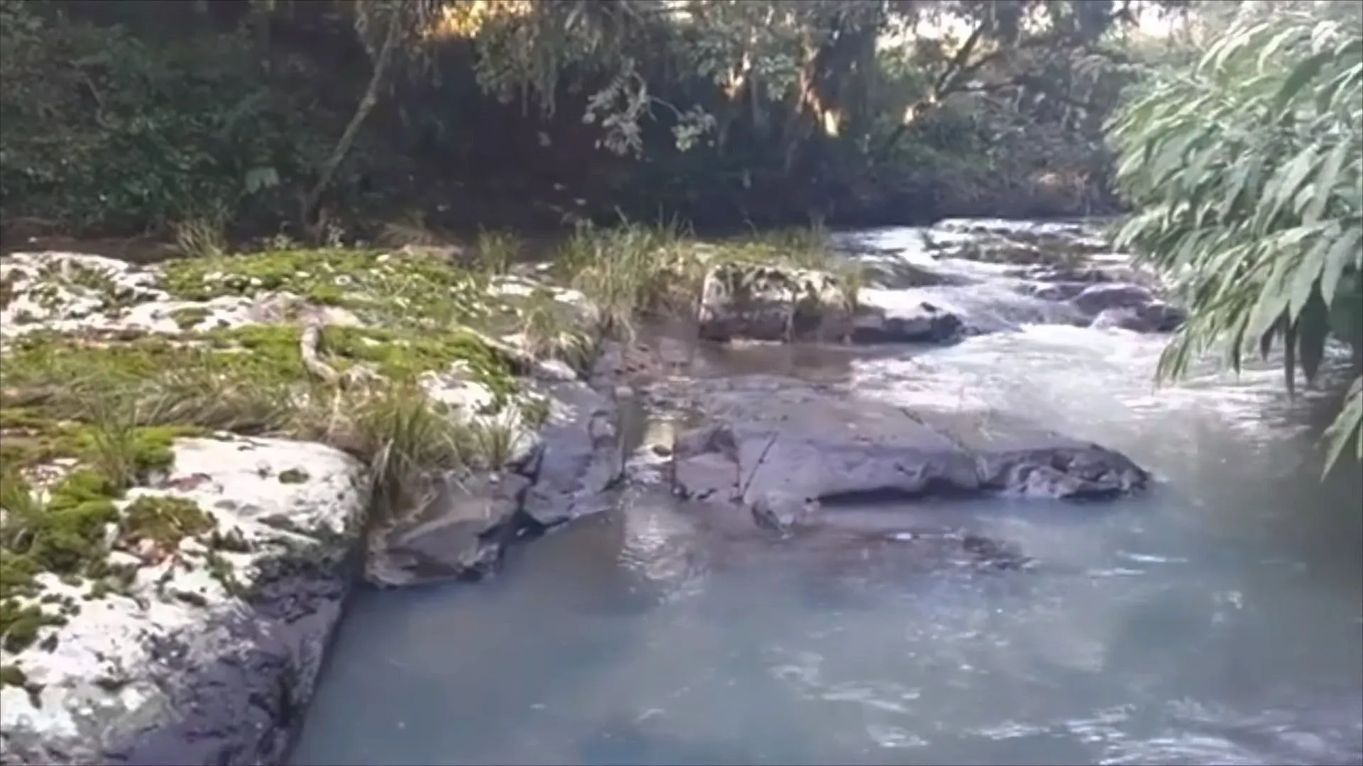 Sítio à venda de 9 ha em Caraá, RS, Brasil