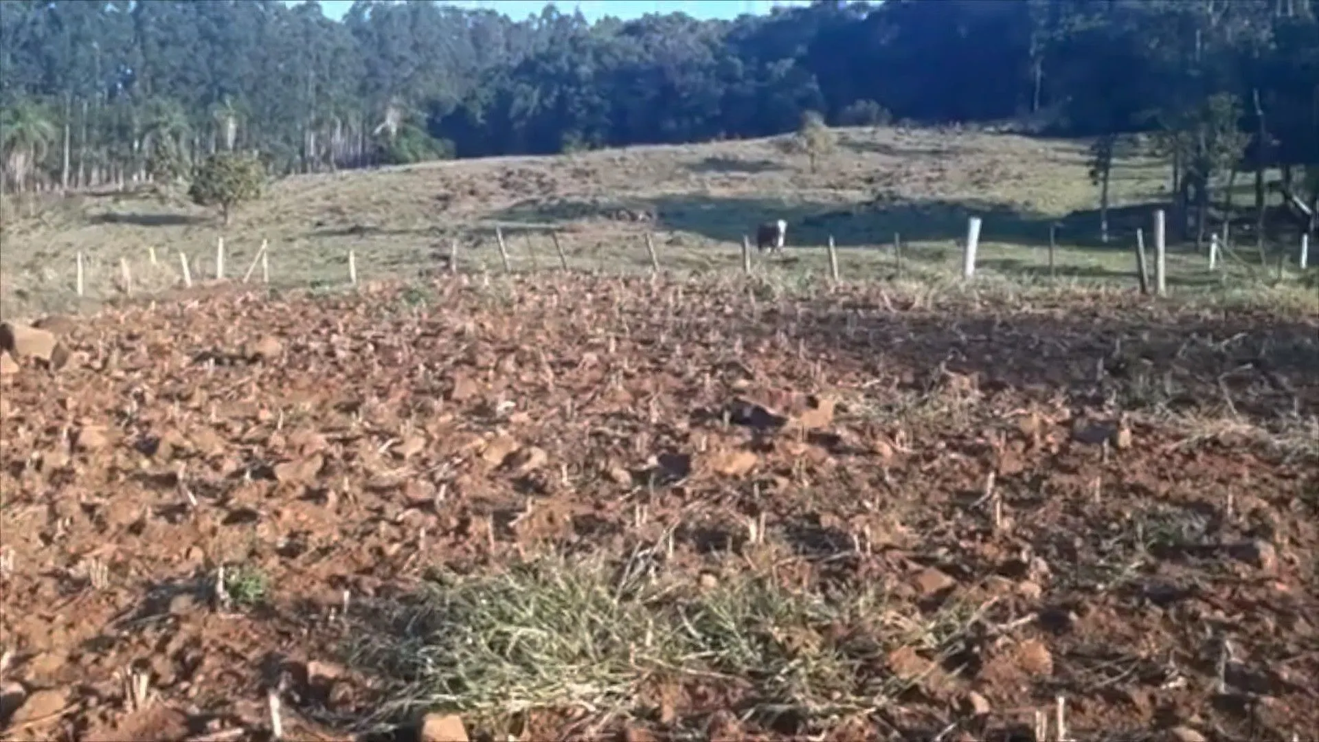Sítio à venda de 9 ha em Caraá, RS, Brasil