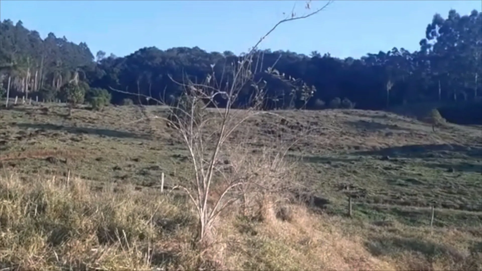 Sítio à venda de 9 ha em Caraá, RS, Brasil