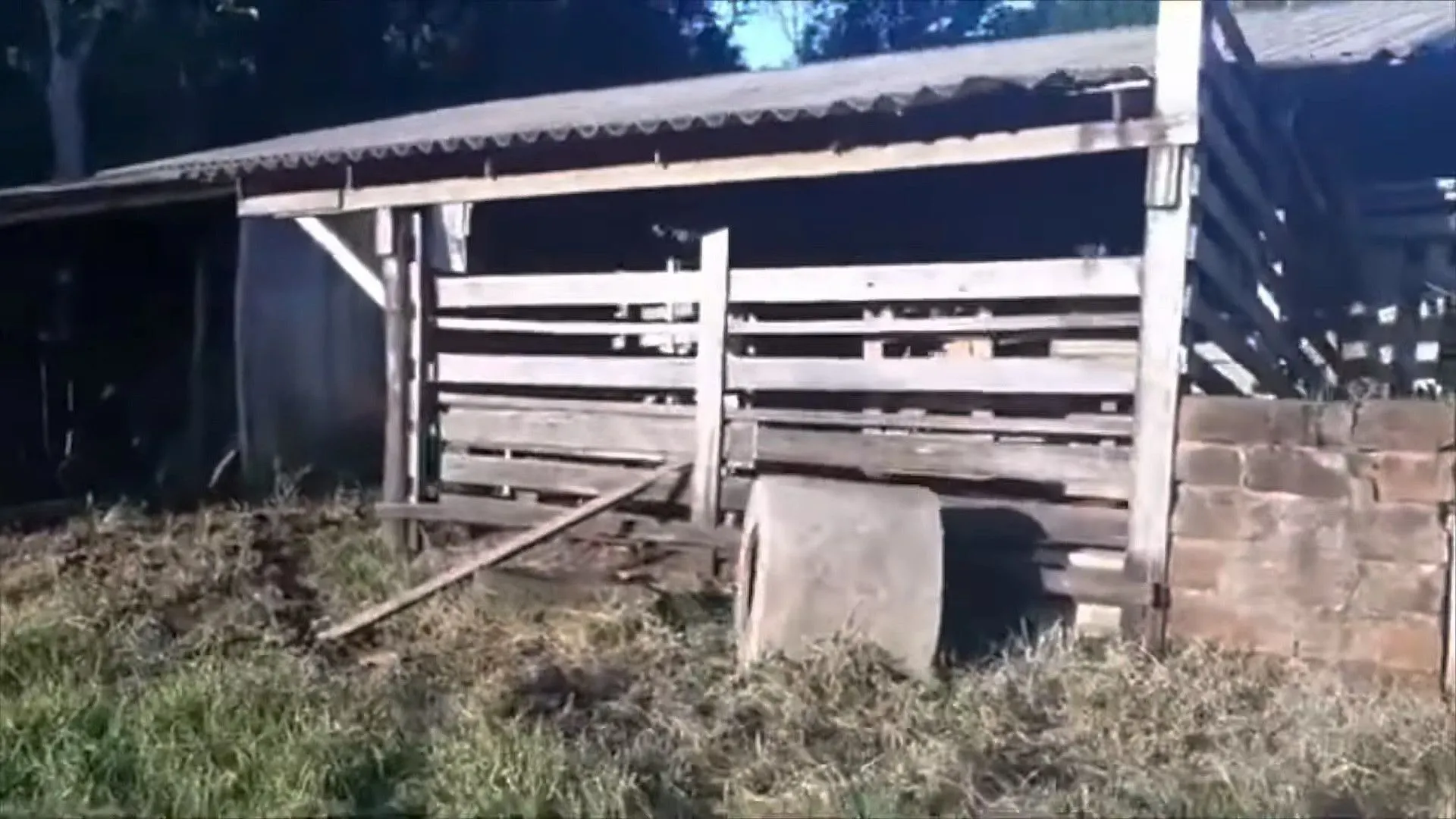 Sítio à venda de 9 ha em Caraá, RS, Brasil